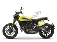 Alle originele en vervangende onderdelen voor uw Ducati Scrambler Flat Track Thailand 803 2015.